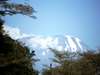 Mount Meru Game Lodge & Sanctuary - View 